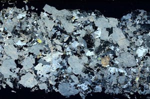 Cross Polarized, S53700/A