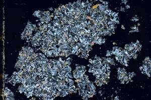 Cross Polarized, S53711