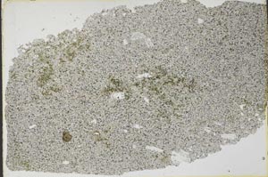 Plane Polarized, S53716