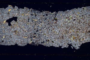 Cross Polarized, S53725