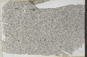 Plane Polarized, S53735