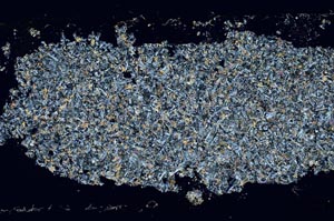 Cross Polarized, S53739