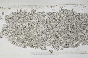 Plane Polarized, S53739