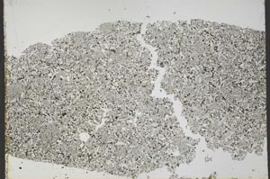 Plane Polarized, S53743