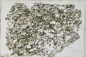 Plane Polarized, S53758