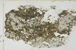 Plane Polarized, S53765