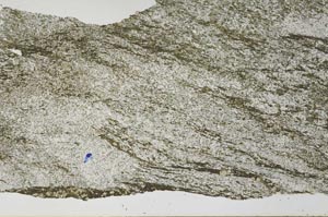 Plane Polarized, S53778