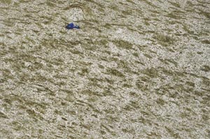 Plane Polarized, S53780