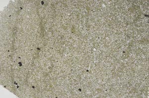 Plane Polarized, S53781