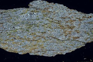 Cross Polarized, S53785