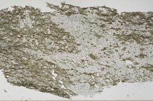 Plane Polarized, S53786