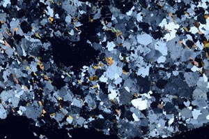 Cross Polarized, S53807