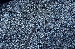 Cross Polarized, S53809