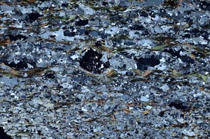 Cross Polarized, S53810