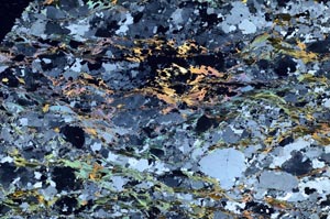 Cross Polarized, S53815