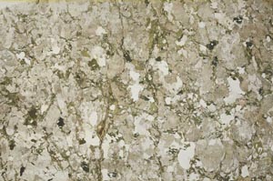 Plane Polarized, S53822