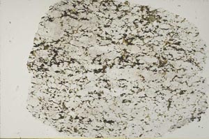Plane Polarized, S53823