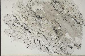Plane Polarized, S53836