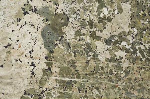 Plane Polarized, S53838