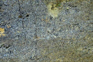 Cross Polarized, S53839