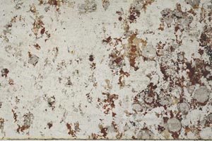 Plane Polarized, S53844