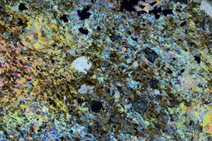 Cross Polarized, S53849