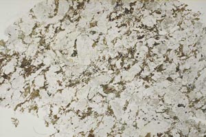 Plane Polarized, S53854
