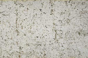 Plane Polarized, S53871