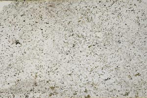 Plane Polarized, S53872