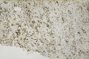 Plane Polarized, S53873