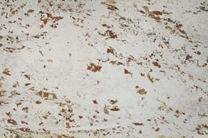 Plane Polarized, S53877