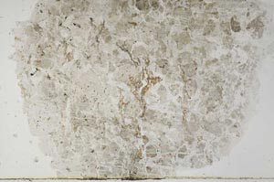 Plane Polarized, S53883