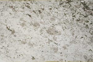 Plane Polarized, S53885