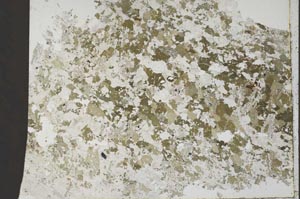Plane Polarized, S53902