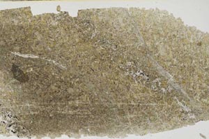 Plane Polarized, S53909
