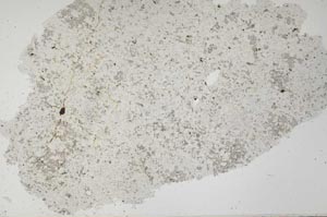 Plane Polarized, S53916
