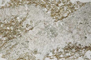 Plane Polarized, S53949