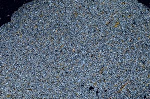 Cross Polarized, S53953