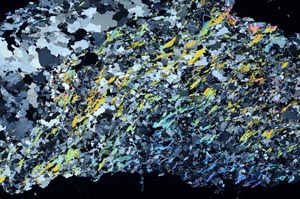 Cross Polarized, S53954
