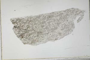 Plane Polarized, S53960