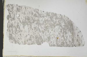Plane Polarized, S53961