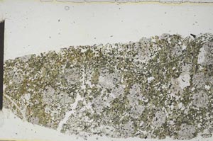 Plane Polarized, S53966