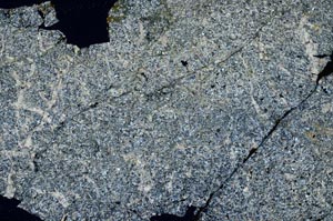 Cross Polarized, S53989
