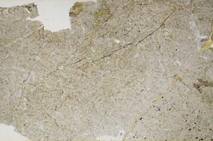 Plane Polarized, S53989