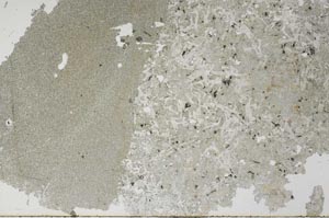 Plane Polarized, S53990