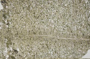 Plane Polarized, S53992