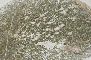 Plane Polarized, S53998