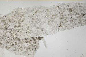 Plane Polarized, S54015