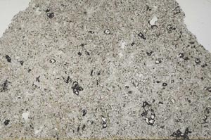 Plane Polarized, S54046