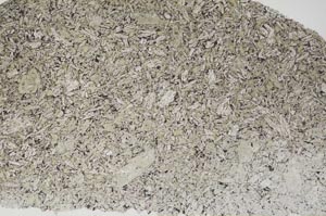 Plane Polarized, S54047